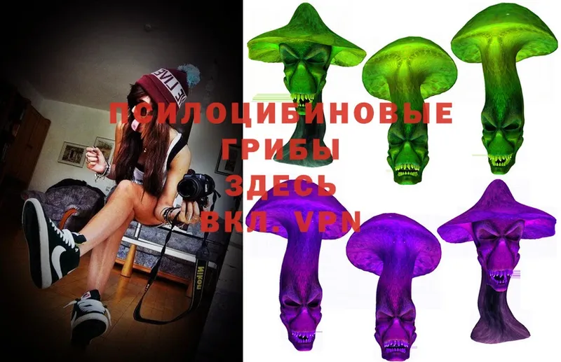 Галлюциногенные грибы Magic Shrooms  ссылка на мегу зеркало  Ефремов 